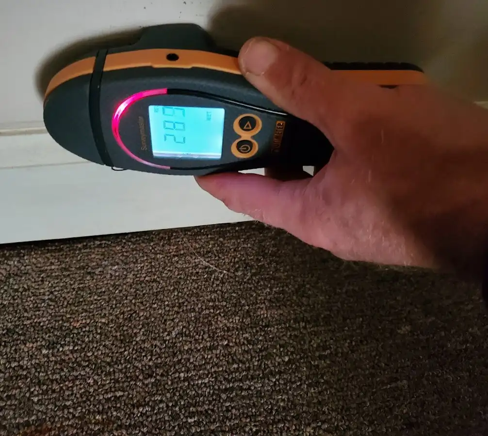 Moisture detection at baseboard during Sewage Cleanup & Sanitation in Arden Hills